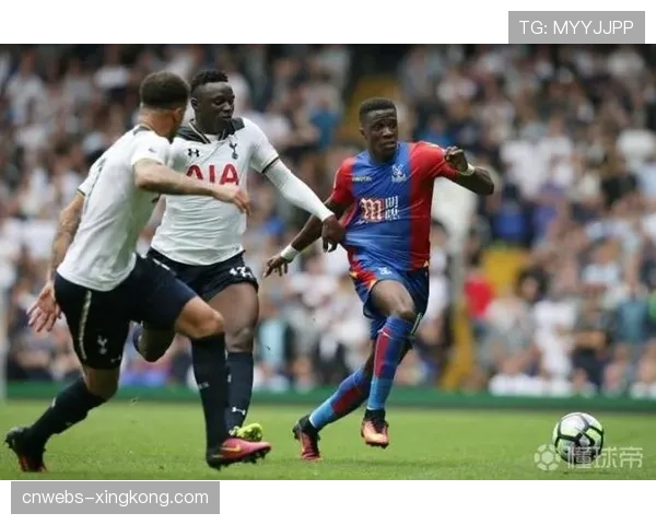 幕后调查：拳手经纪人高额抽成比例的行业惯例与潜在问题